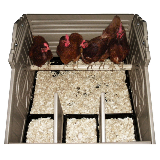 Standard Chicken Coop (4 Bird) - Snaplock by Formex