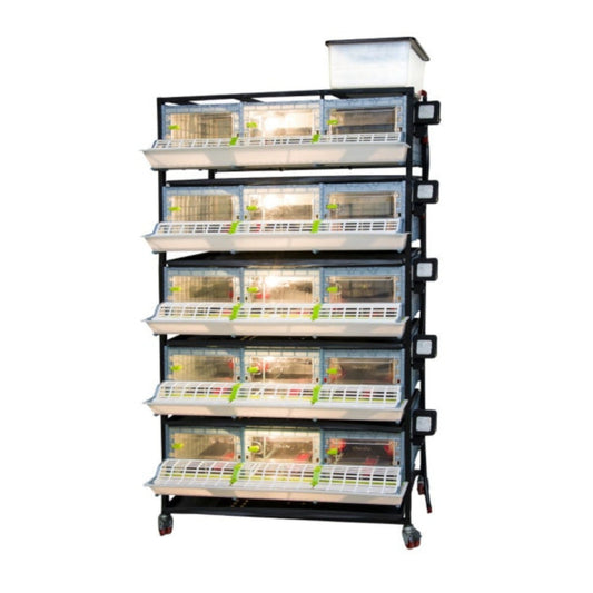 CHICK BROODER: 5 TIERS, HEIGHT 9.5-INCHES