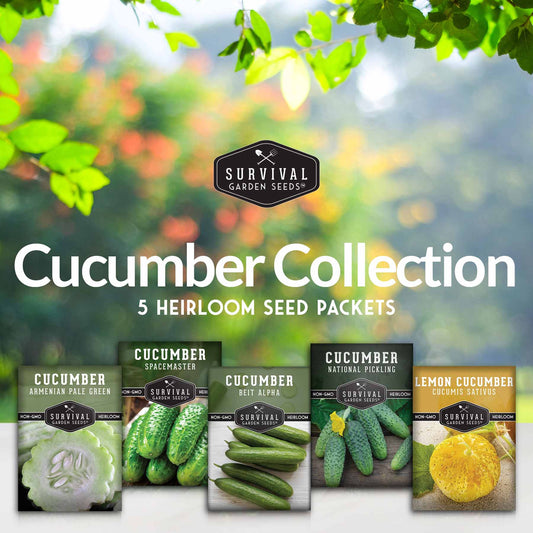 Cucumber Seed Collection – Armenian, Beit Alpha, Lemon, National Pickling & Spacemaster Varieties