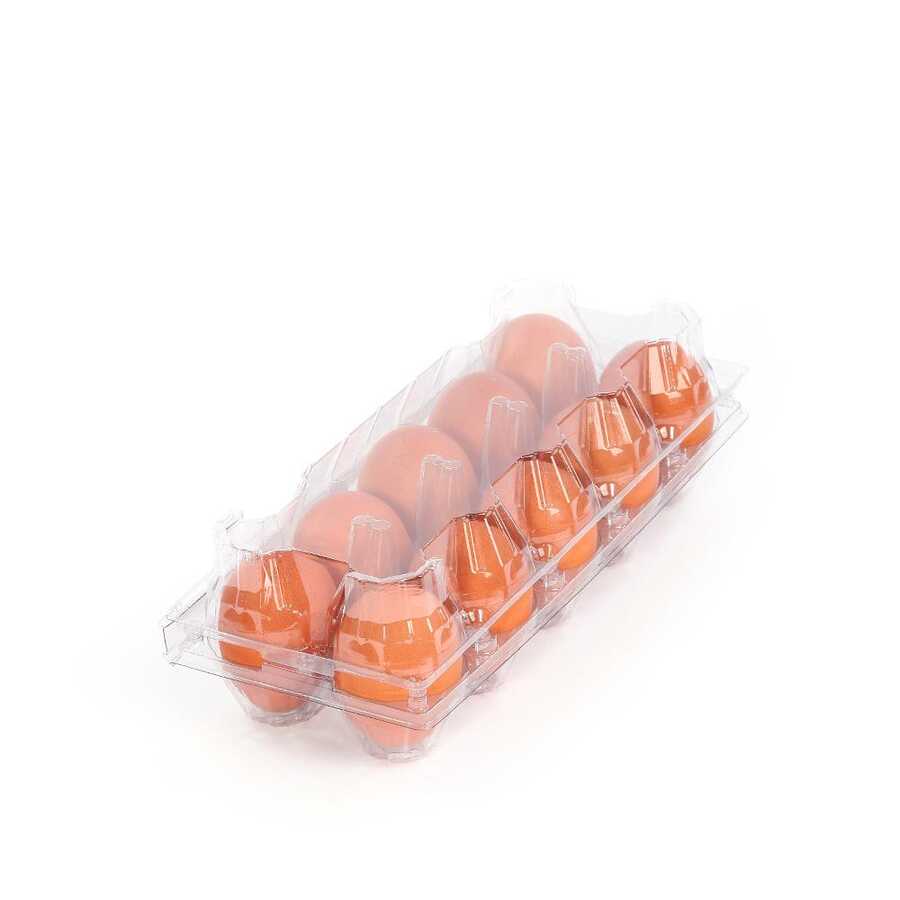 10-Egg Carton - Clear Plastic