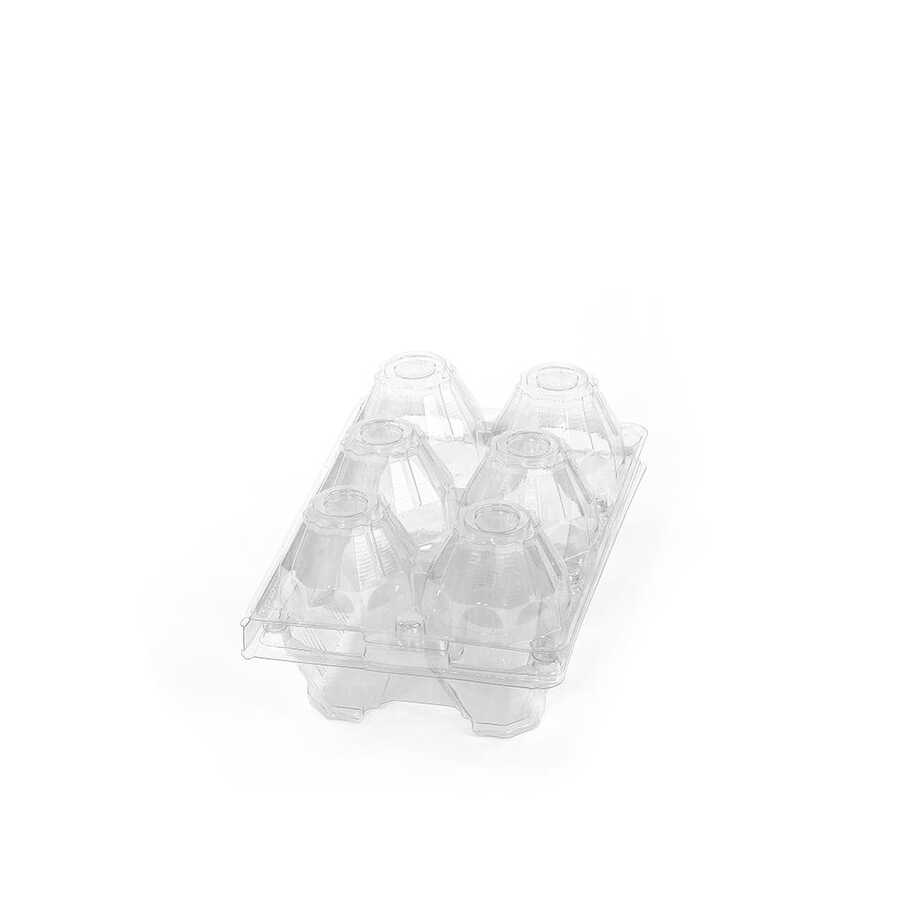 6-Egg Carton - Clear Plastic