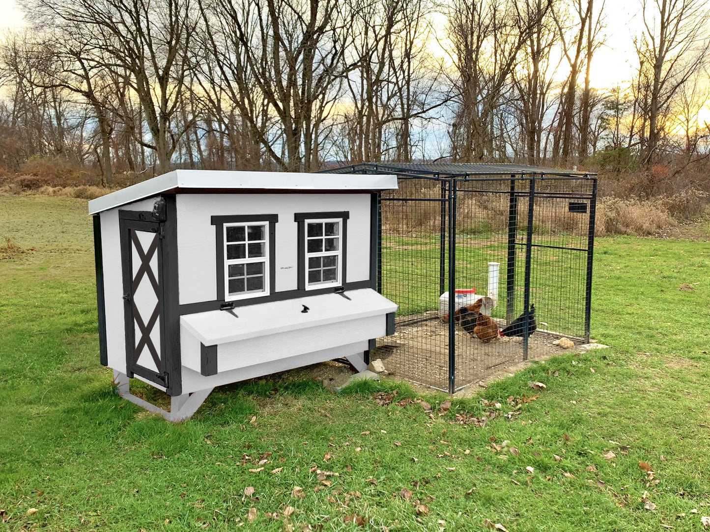 Large Chicken Coop — Up to 15 Chickens