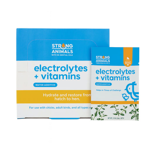 Electrolyte + Vitamin Pack