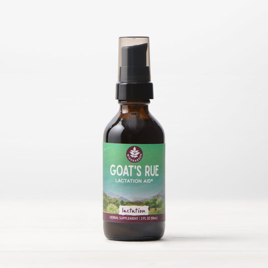 Goat's Rue, Lactation Aid
