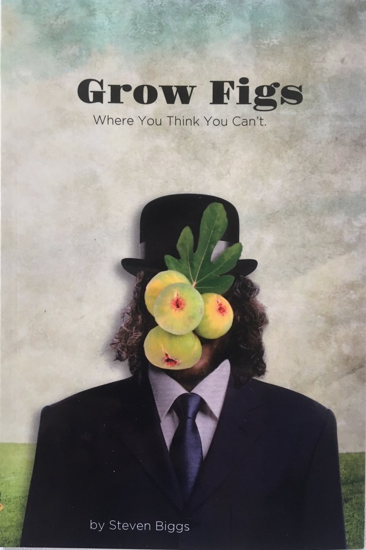 GROW FIGS WHERE YOU THINK YOU CAN'T