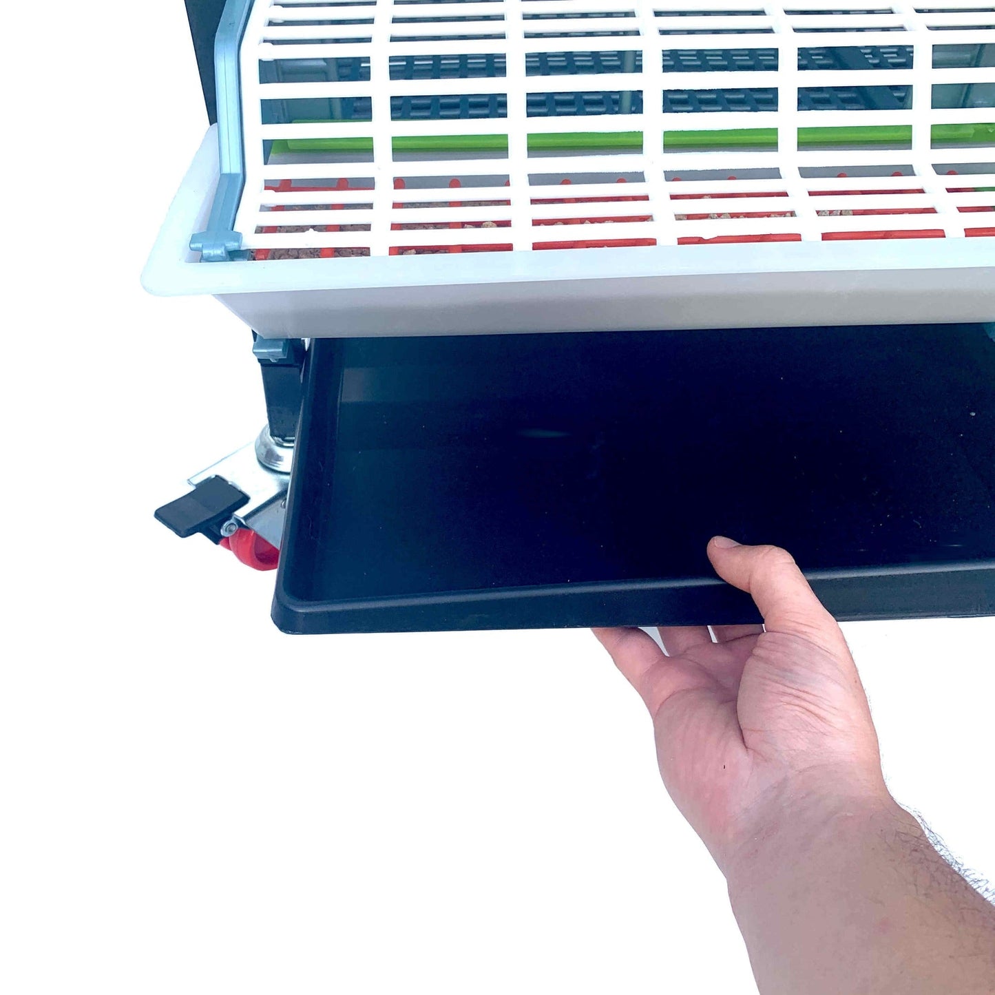 Grow Out Pen - 4 Layer H:9.5"