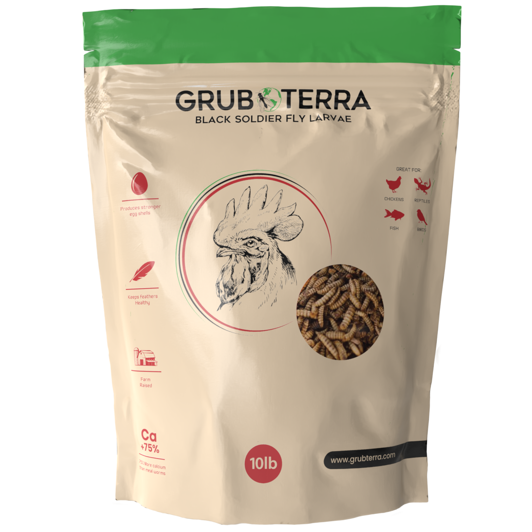 GrubTerra Black Soldier Fly Larvae