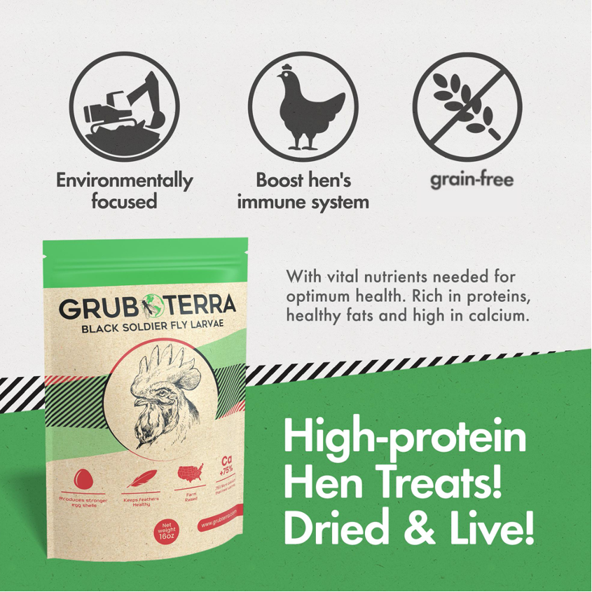 GrubTerra Black Soldier Fly Larvae