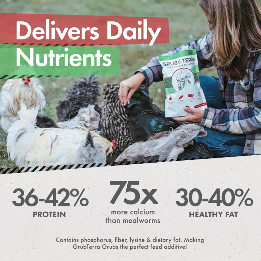 GrubTerra Black Soldier Fly Larvae