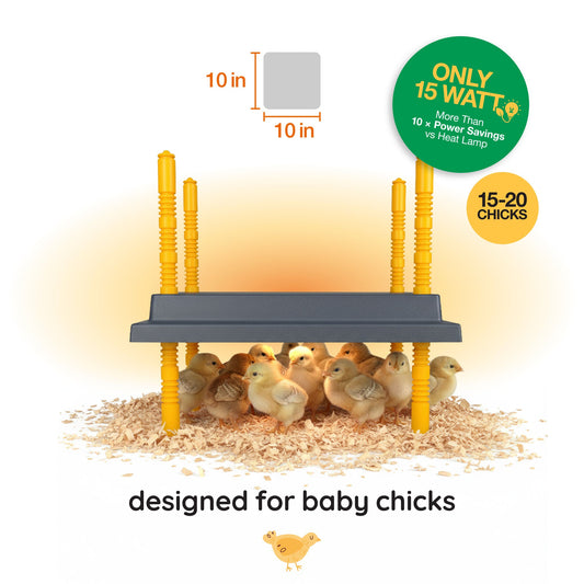 Warmzy Heating Plate (10" x 10") 15-20 chicks