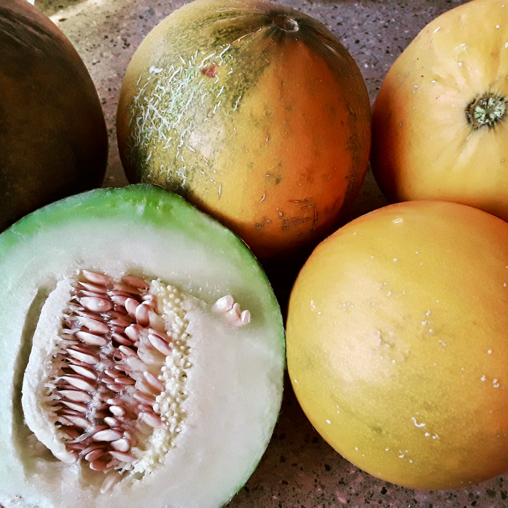 Collective Farm Woman Cantaloupe