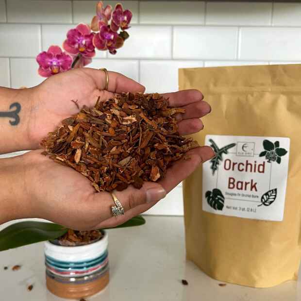 Orchid Bark