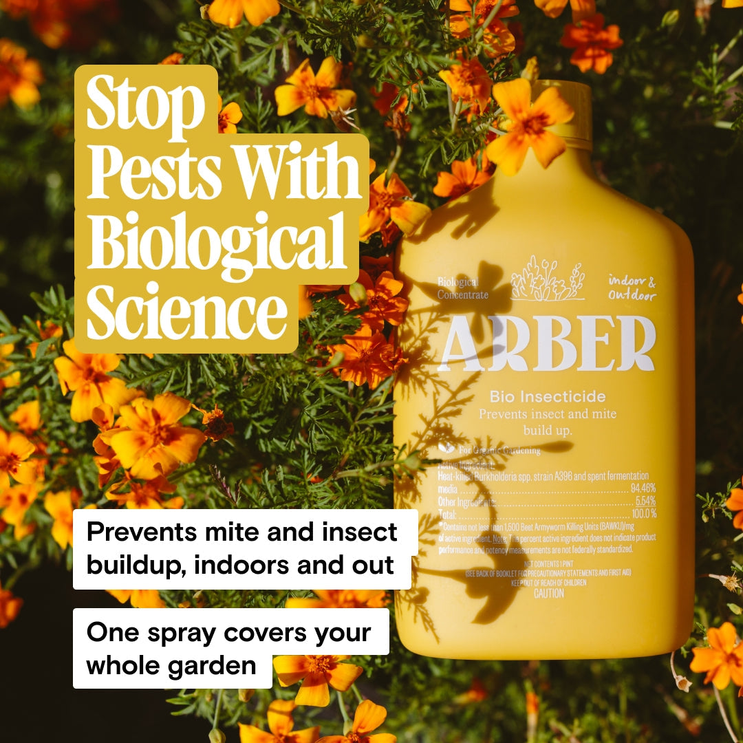 Organic Bio Insecticide