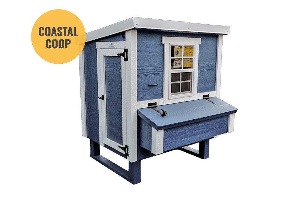 Medium Chicken Coop — Up to 10 Chickens