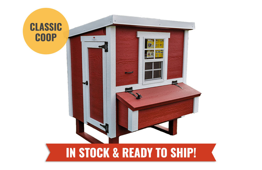 Medium Chicken Coop — Up to 10 Chickens