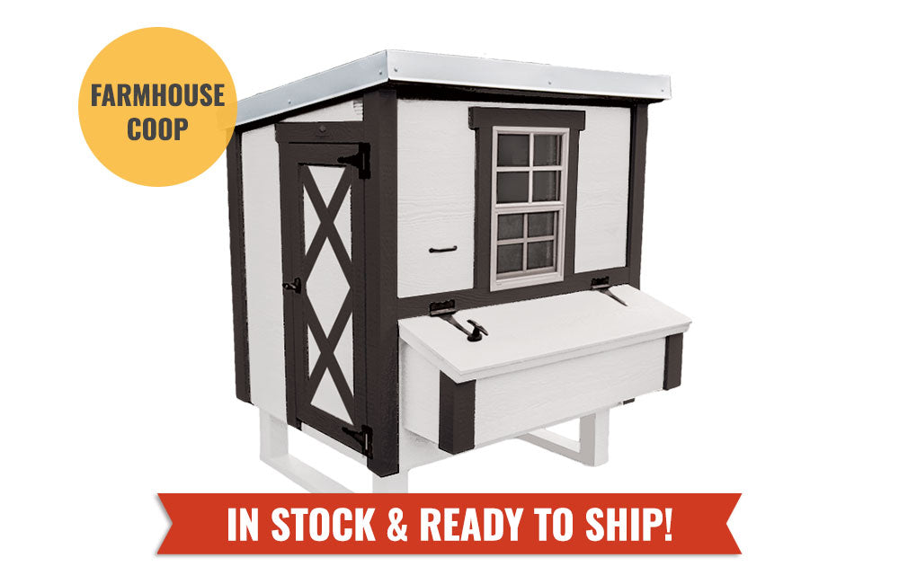 Medium Chicken Coop — Up to 10 Chickens