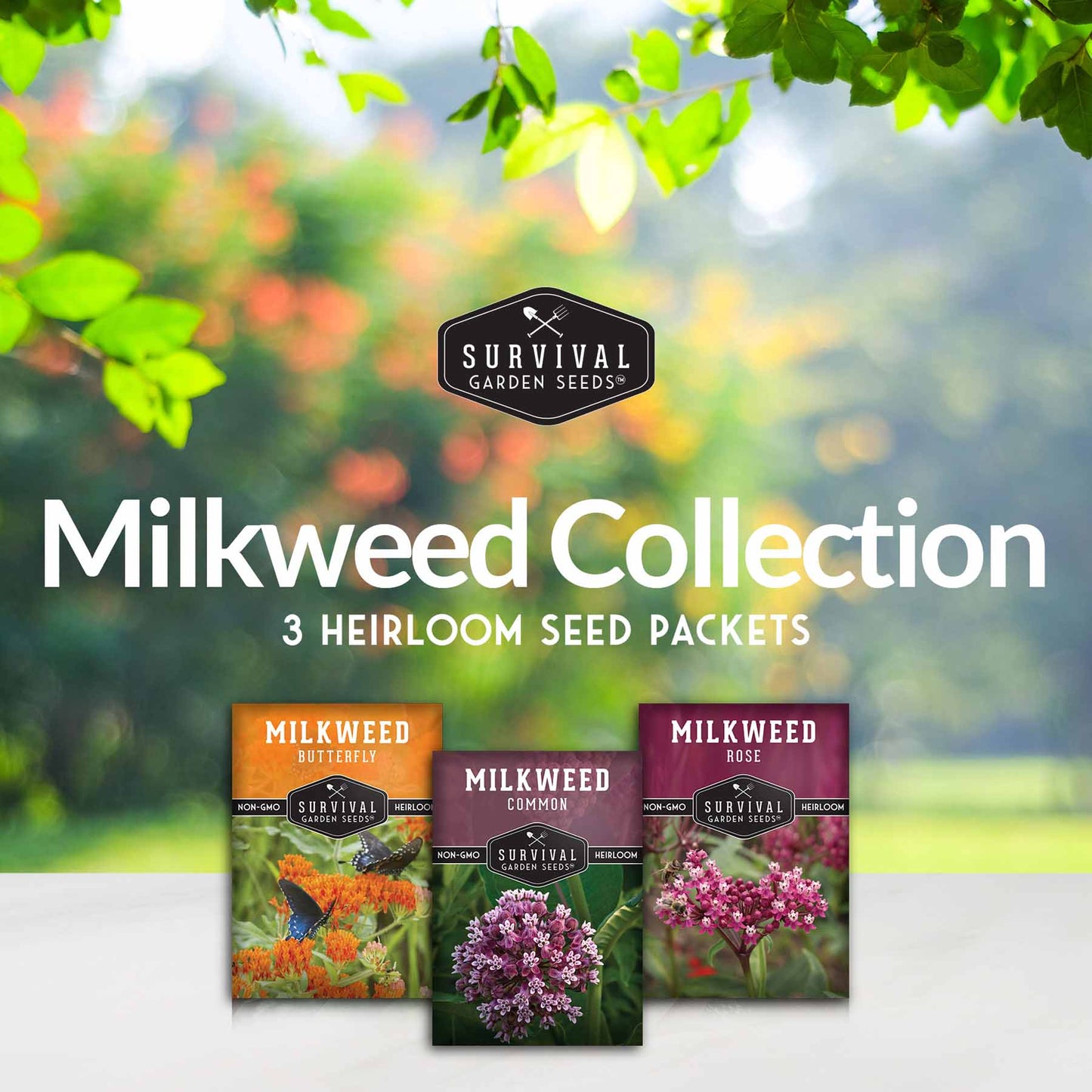 Milkweed Seed Collection – Common, Butterfly, and Rose Milkweed for Monarch Support