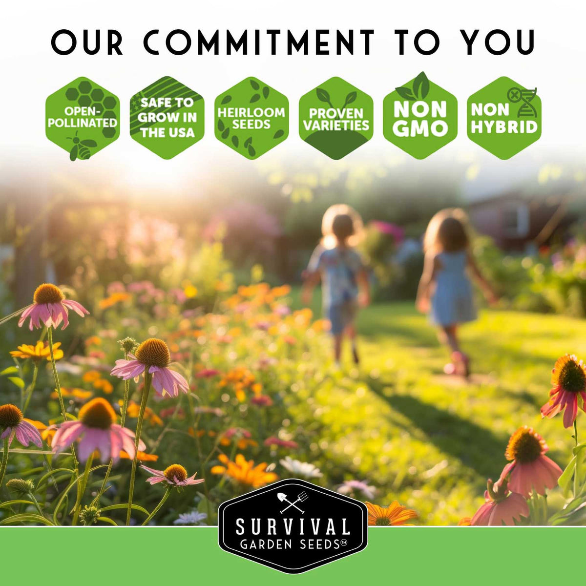 Edible Sunflower Seeds Collection – Mammoth & Black Russian Heirloom Non-GMO Varieties for Roasting, Bird Feed & Towering Garden Displays