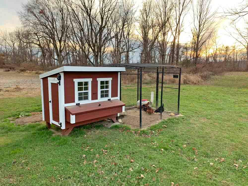 Large Chicken Coop — Up to 15 Chickens