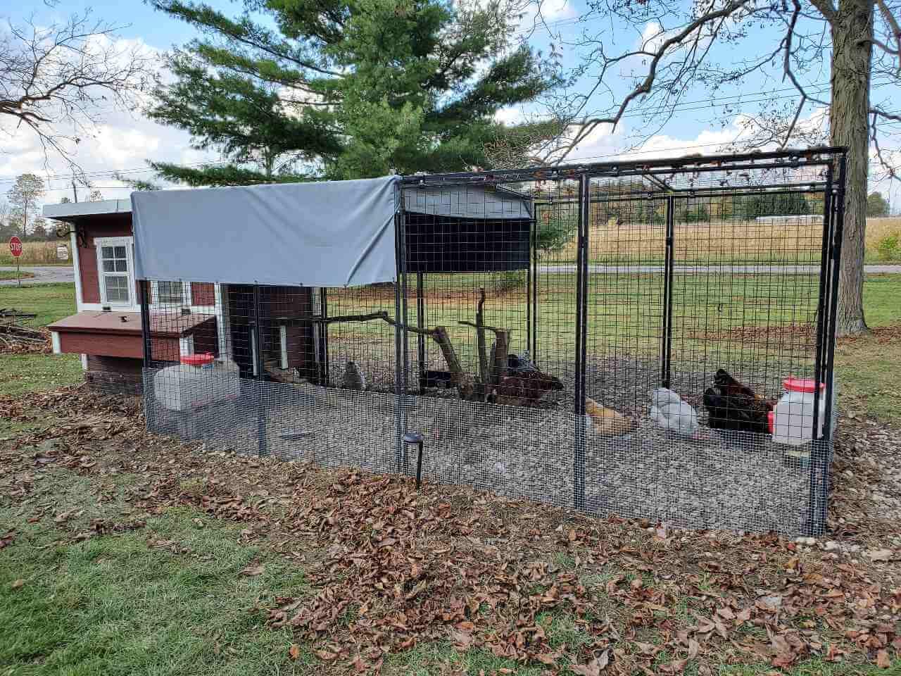 Walk-In 15 ft. Chicken Run (6'6"W x 15'L x 6'3"H)