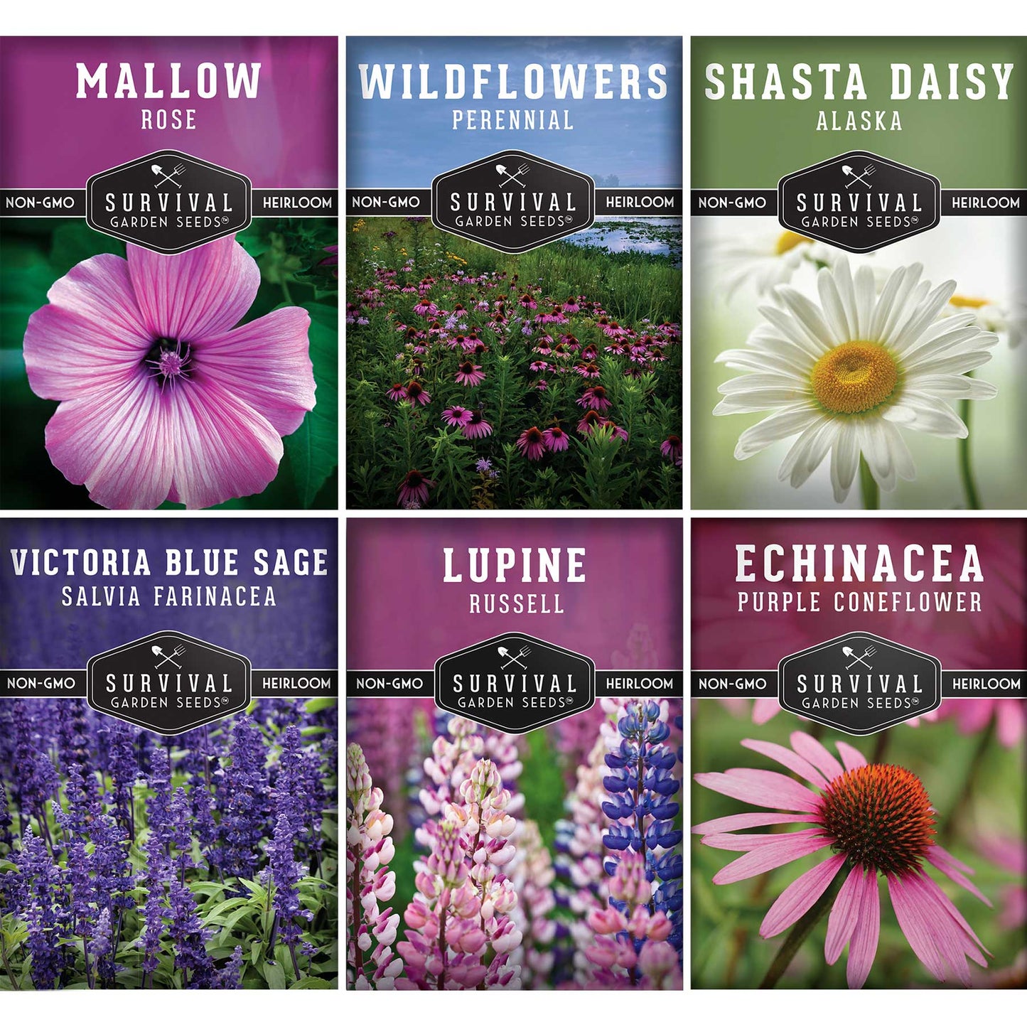 Perennial Flower Seed Collection – Non-GMO Heirloom Blooms for Pollinator Gardens, Borders & Year-Round Color