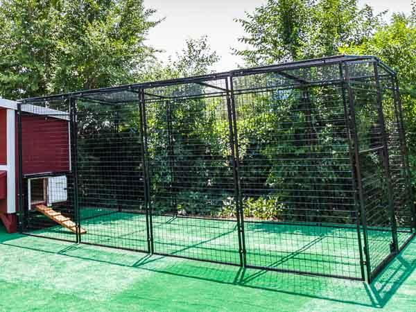 Walk-In 15 ft. Chicken Run (6'6"W x 15'L x 6'3"H)