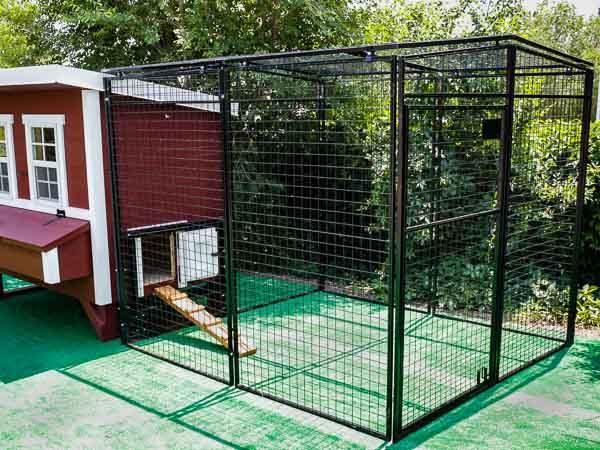 Walk-In 8 ft. Chicken Run (6'6"W x 7'6"L x 6'3"H)