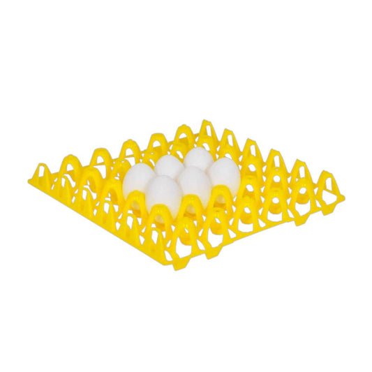 Plastic Egg Tray - Chicken - 30 Eggs