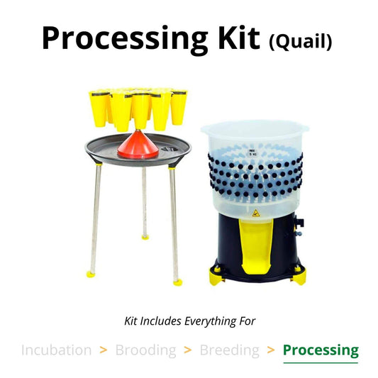 Processing Kit - Quail