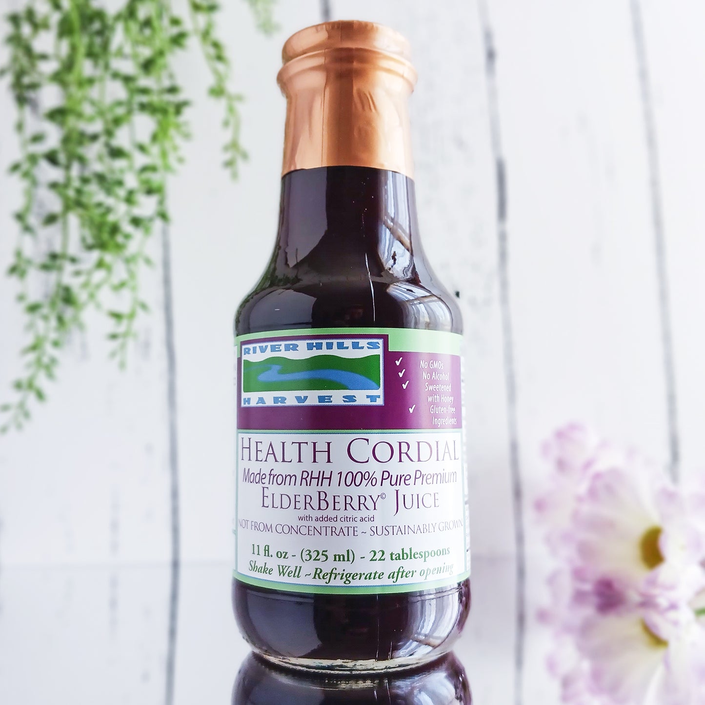 American Elderberry Cordial