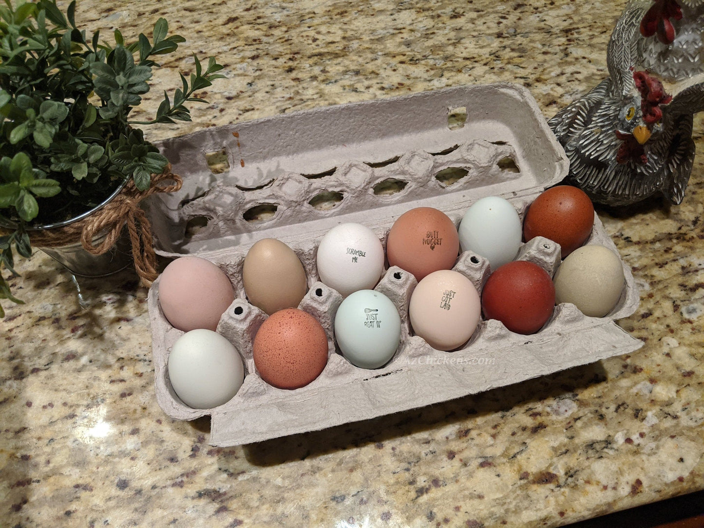 Rainbow Egg Assortment – Buy 10 + 5 Bonus Free (15 Female Chicks, Shipping Included)