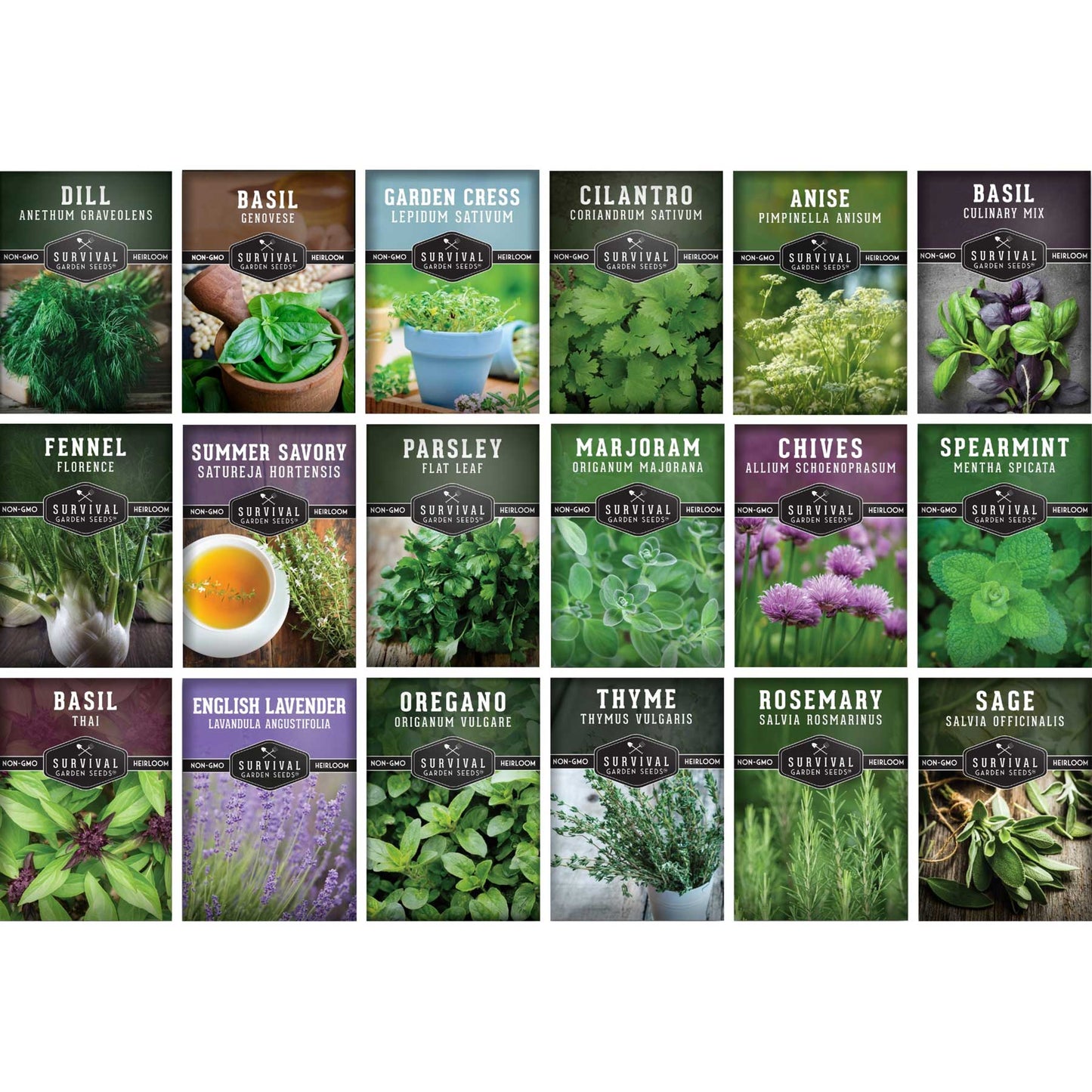 18 Culinary Herb Seed Collection – Heirloom Herbs for Cooking, Teas, Remedies & Year-Round Kitchen Gardens