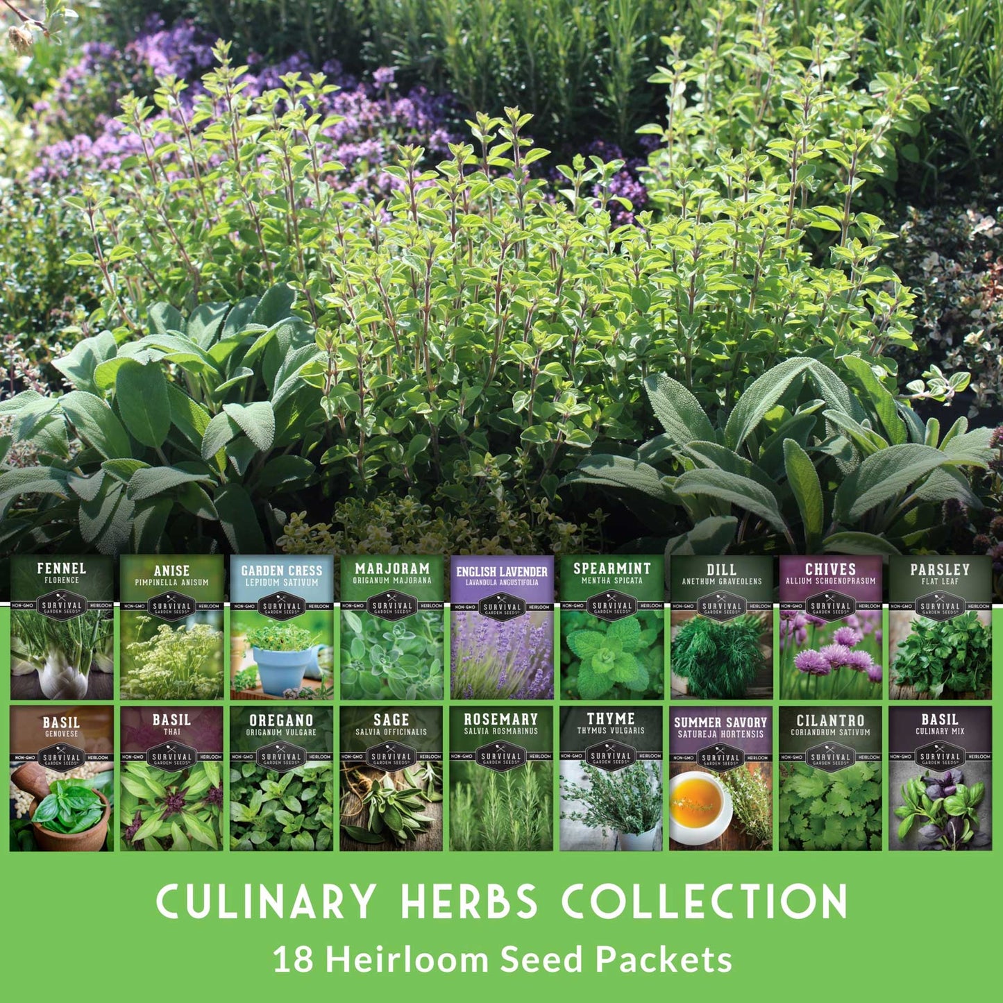 18 Culinary Herb Seed Collection – Heirloom Herbs for Cooking, Teas, Remedies & Year-Round Kitchen Gardens