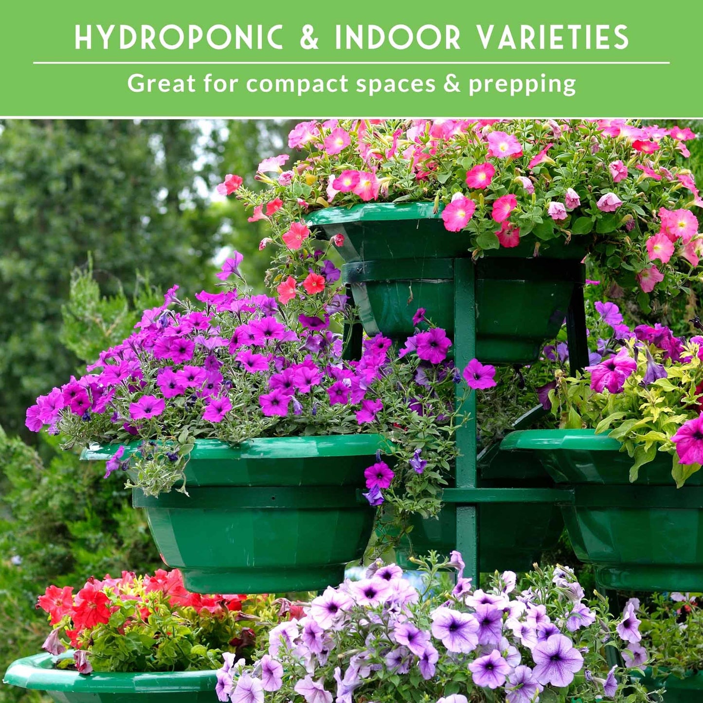 20 Variety Apartment Kit Seed Vault – Non-GMO Heirloom Seeds for Hydroponic & Indoor Small-Space Gardening