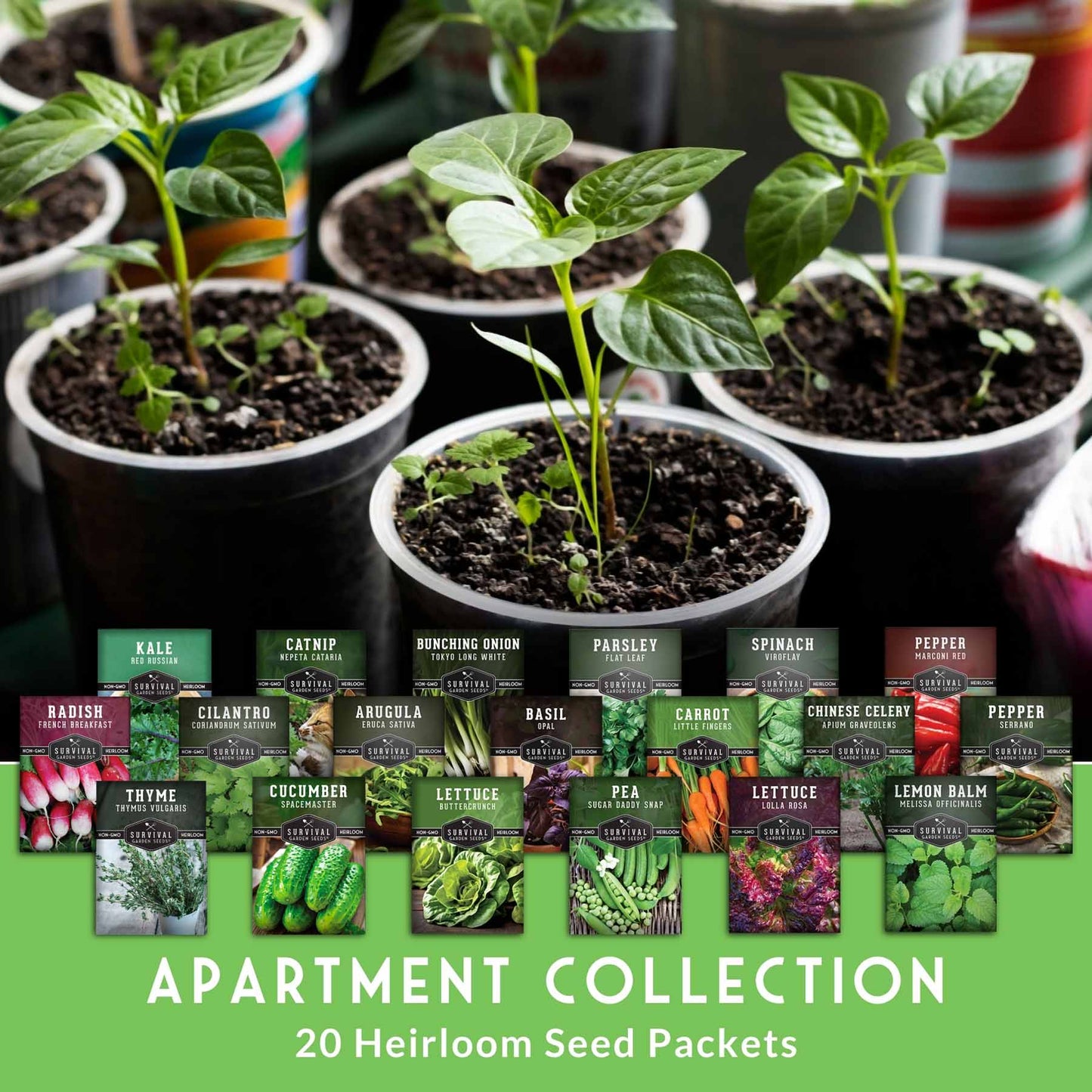 20 Variety Apartment Kit Seed Vault – Non-GMO Heirloom Seeds for Hydroponic & Indoor Small-Space Gardening