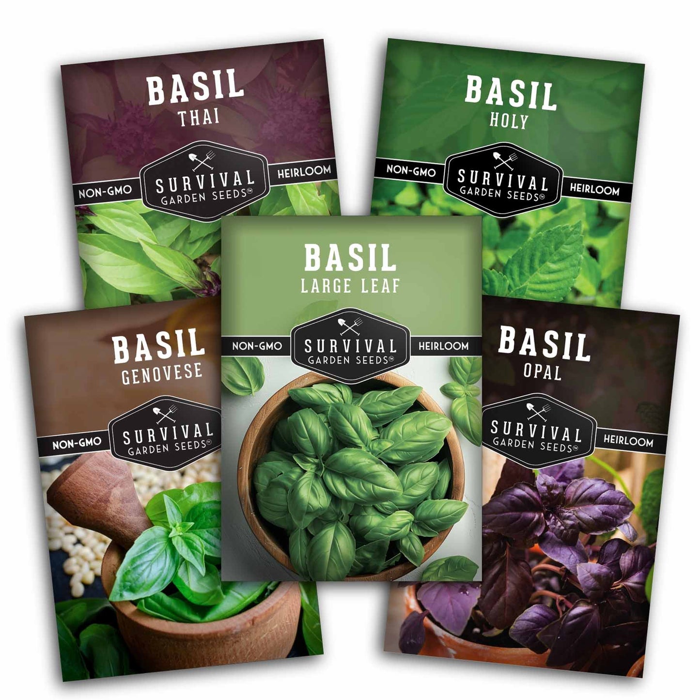 5 Basil Seed Collection – Genovese, Holy (Tulsi), Large Leaf, Opal & Thai Basil Seeds for Culinary and Herbal Gardens