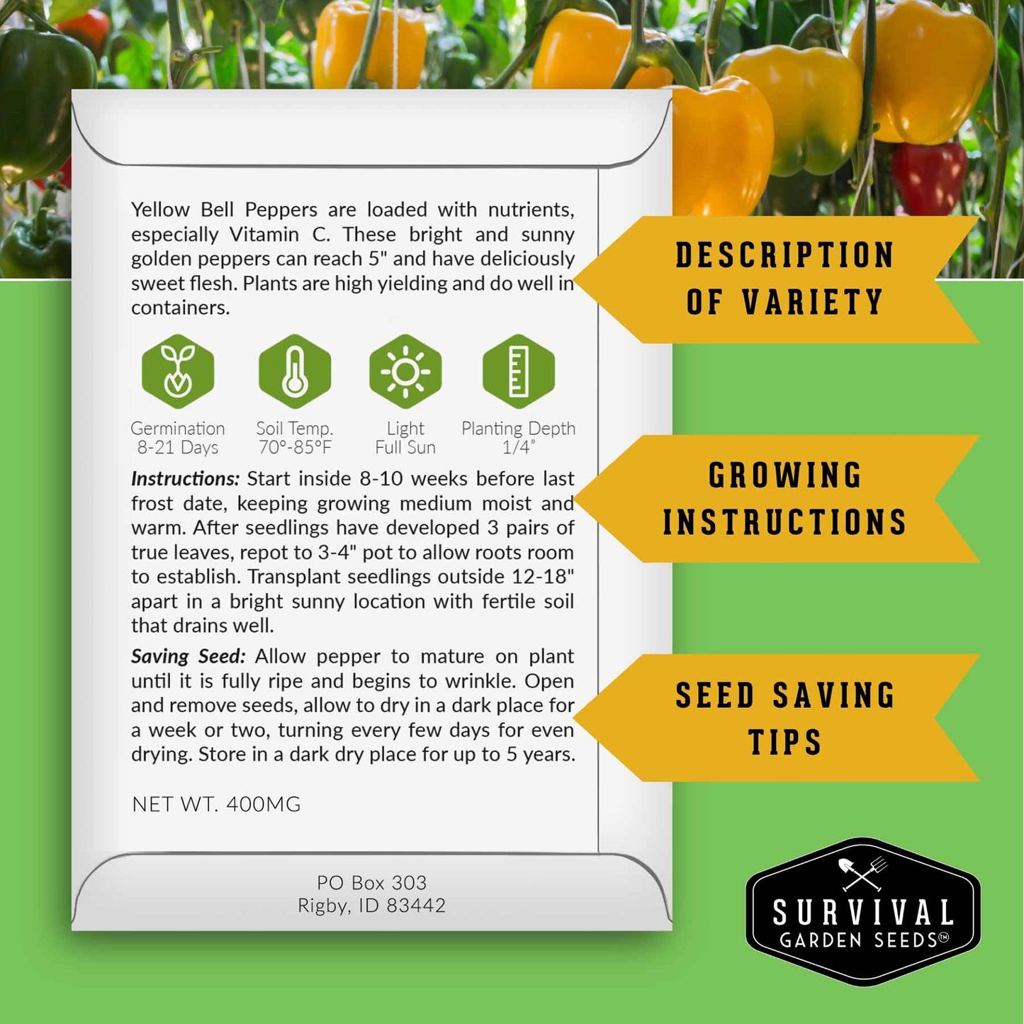 Heirloom Bell Pepper Seed Collection – Non-GMO Sweet Peppers in 5 Vibrant Colors for Garden & Container Growing