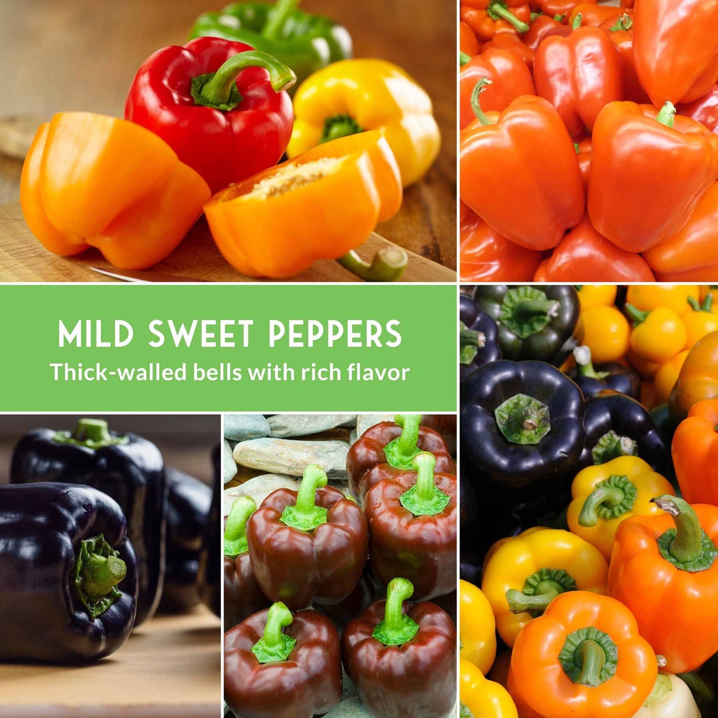 Heirloom Bell Pepper Seed Collection – Non-GMO Sweet Peppers in 5 Vibrant Colors for Garden & Container Growing