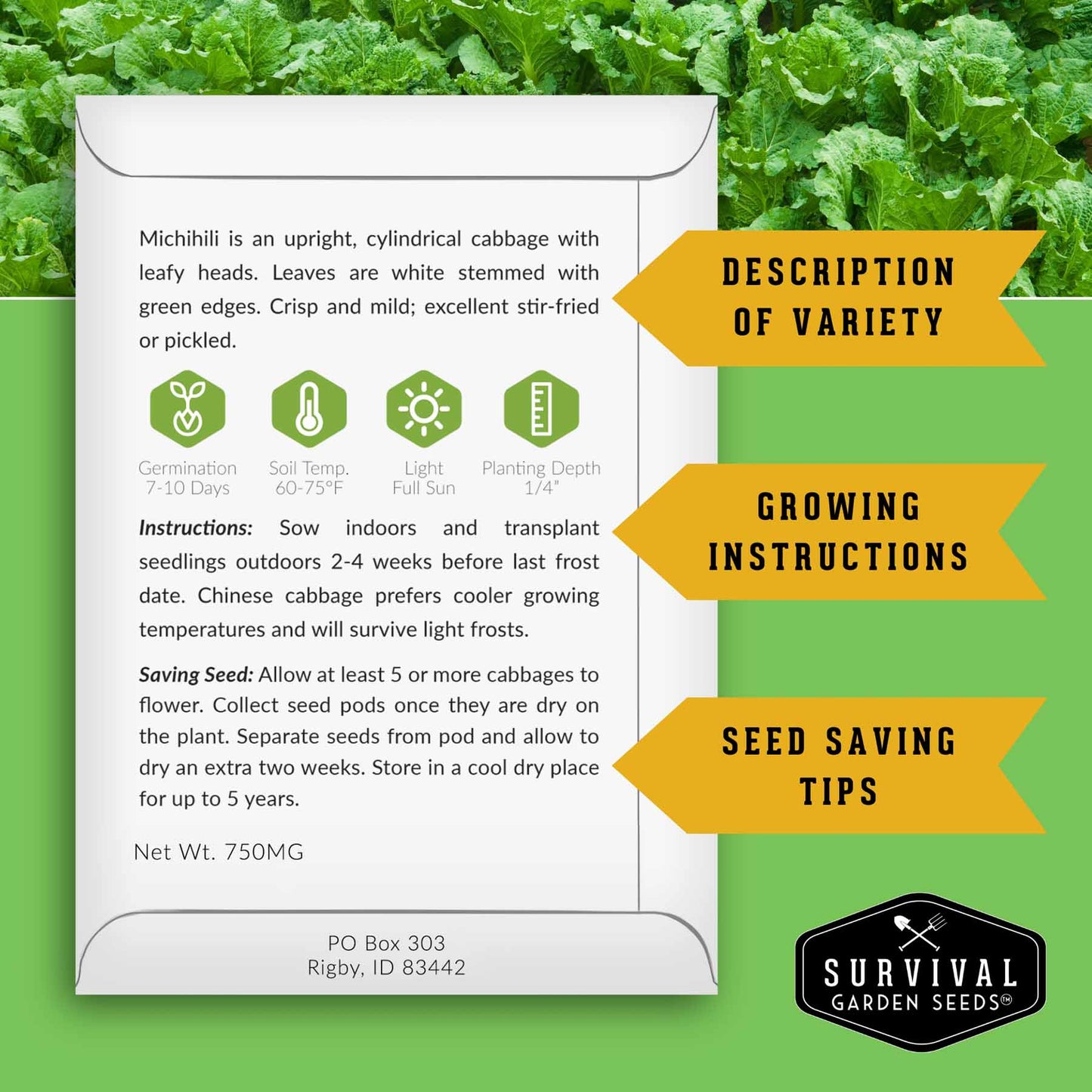 5-Variety Heirloom Cabbage Seed Collection – Non-GMO Green, Red & Napa Cabbages for Spring and Fall Gardens