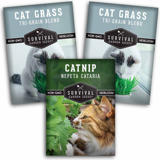 Cat Grass & Catnip Seed Collection – Fun, Healthy Greens & Enrichment Herbs for Indoor Cats