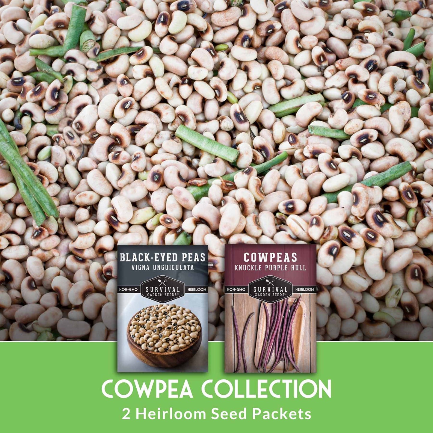 Cowpea Seed Collection – Black-Eyed Peas & Knuckle Purple Hull Cowpeas for Warm-Season, High-Nutrition Gardens