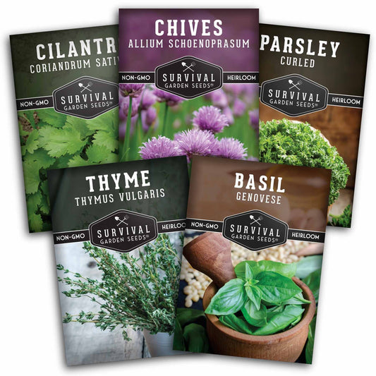 Culinary Herb Seed Collection – 5 Essential Kitchen Herbs for Indoor or Outdoor Growing