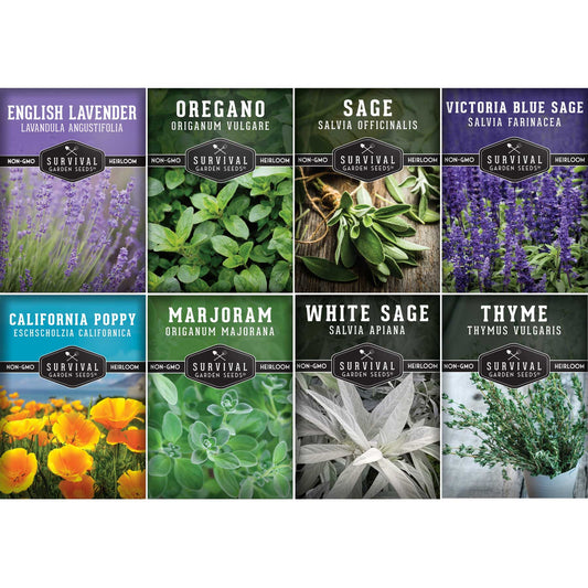 Drought-Tolerant Herb & Flower Seed Kit – 8 Full-Sun, Xeriscape-Friendly Varieties for Low-Water Gardens