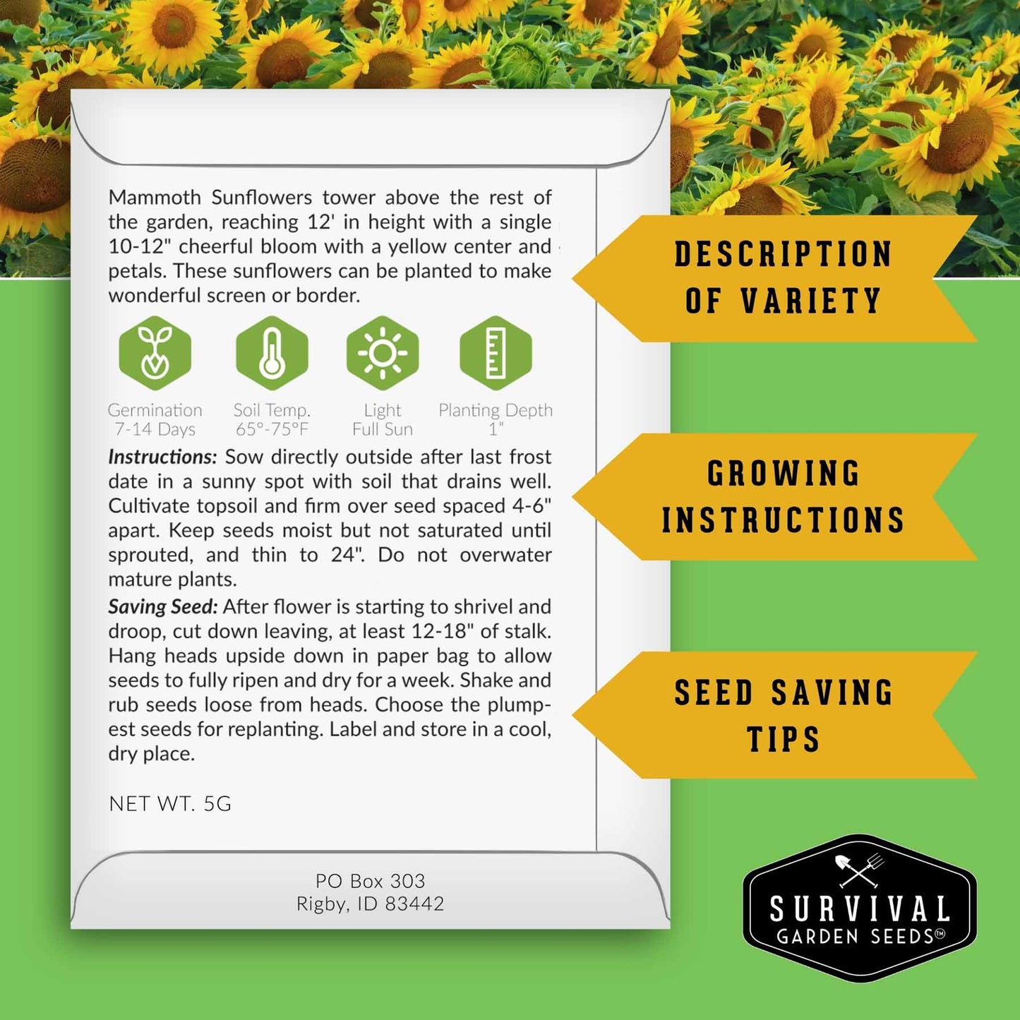 Edible Sunflower Seeds Collection – Mammoth & Black Russian Heirloom Non-GMO Varieties for Roasting, Bird Feed & Towering Garden Displays