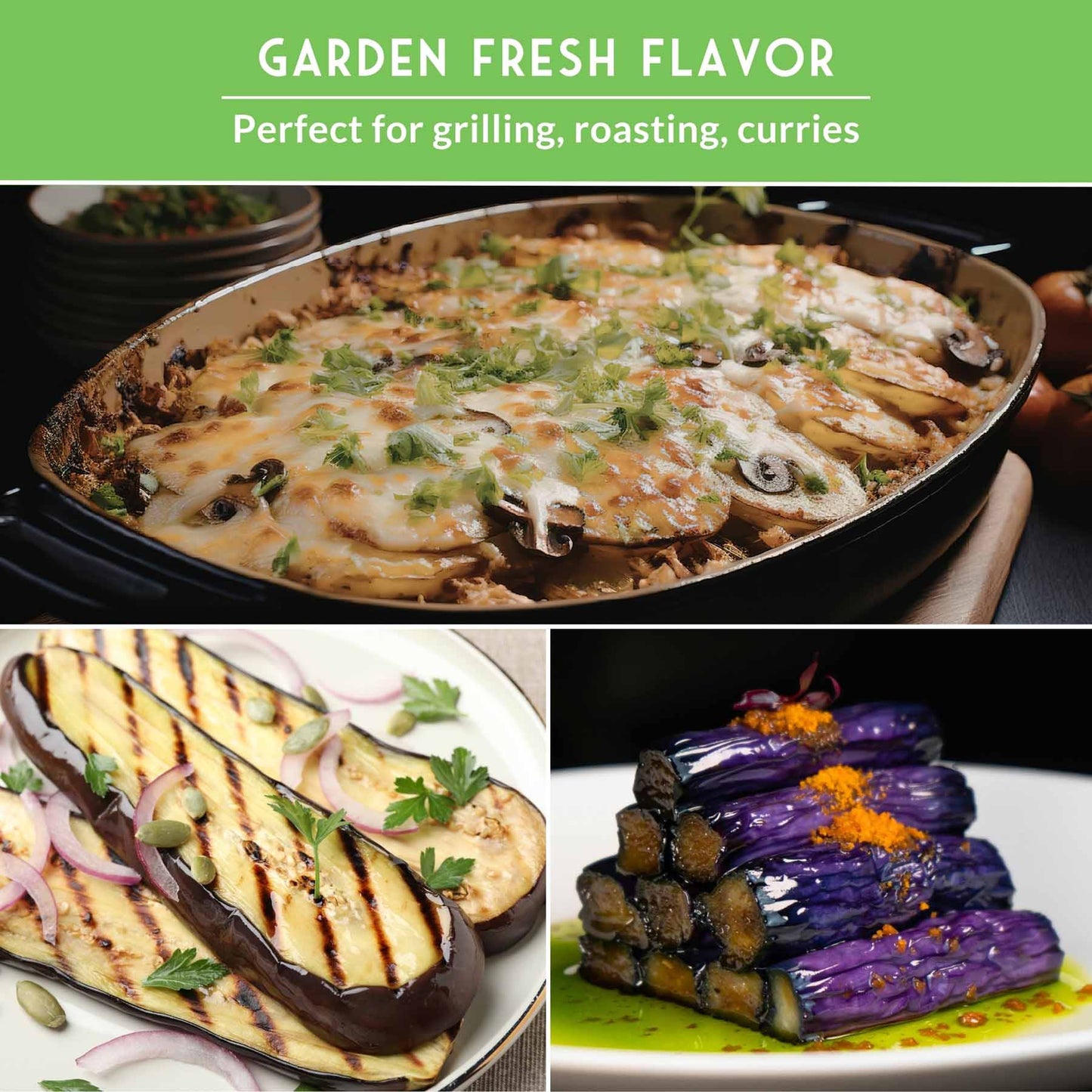 Eggplant Seed Collection – Snowy, Long Purple & Black Beauty Varieties for Home Gardens