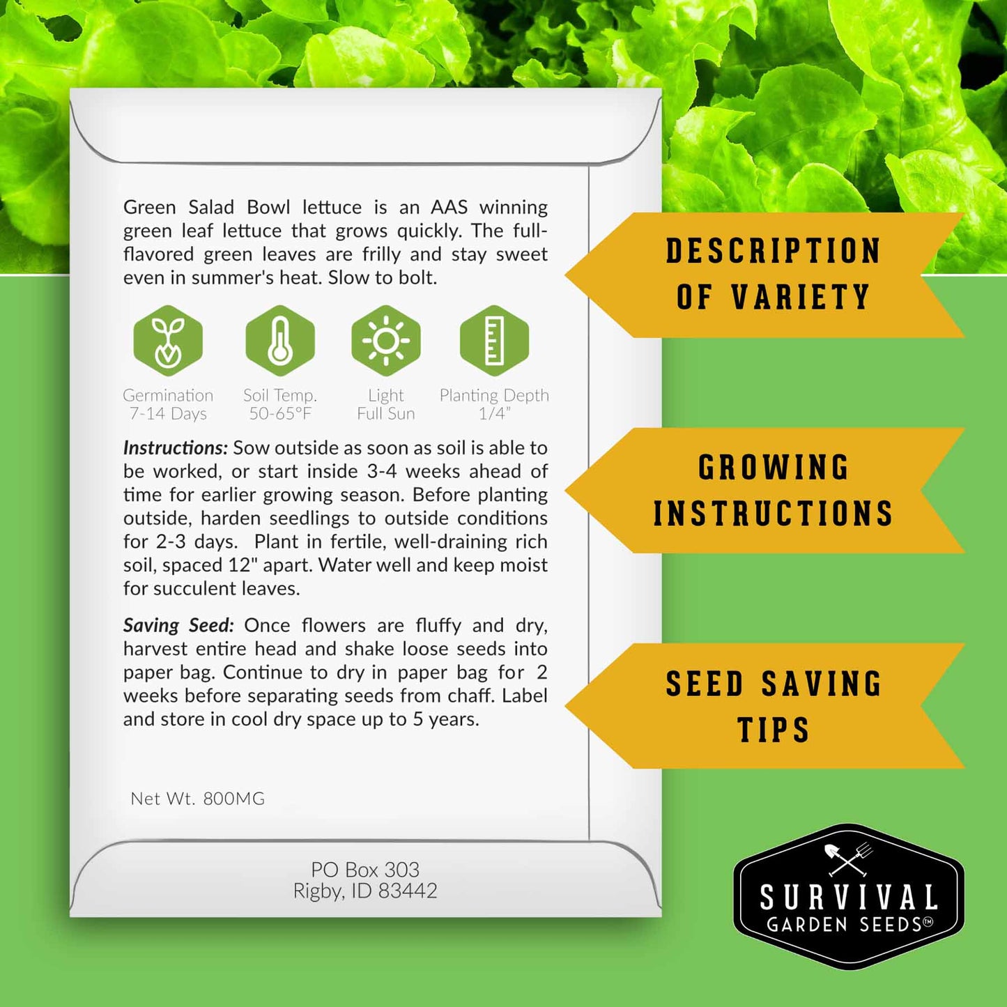 Hydroponic Vegetable Seeds Kit – 6 Heirloom Leafy Greens for Aerogardens, Towers & Indoor Year-Round Growing