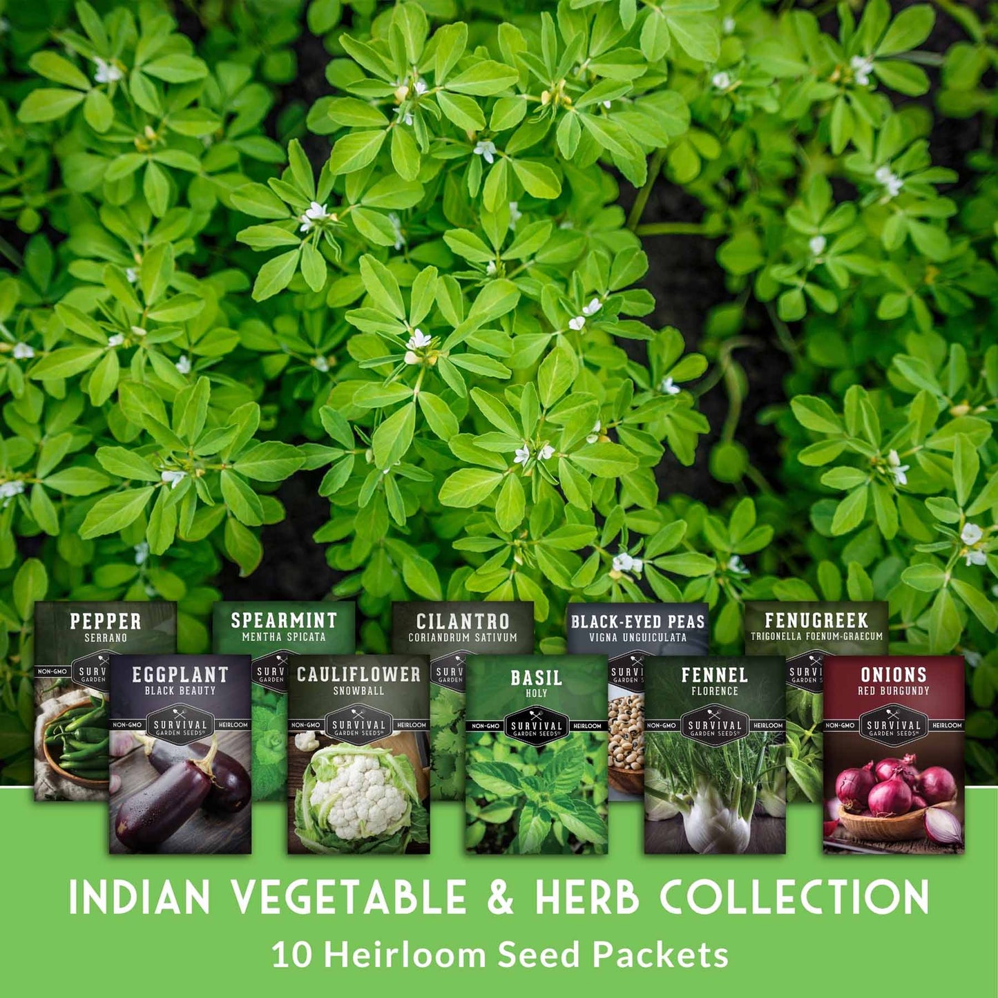 Indian Vegetable Seed Collection – 10 Heirloom Non-GMO Seeds for Authentic Indian Cuisine and Home Gardens