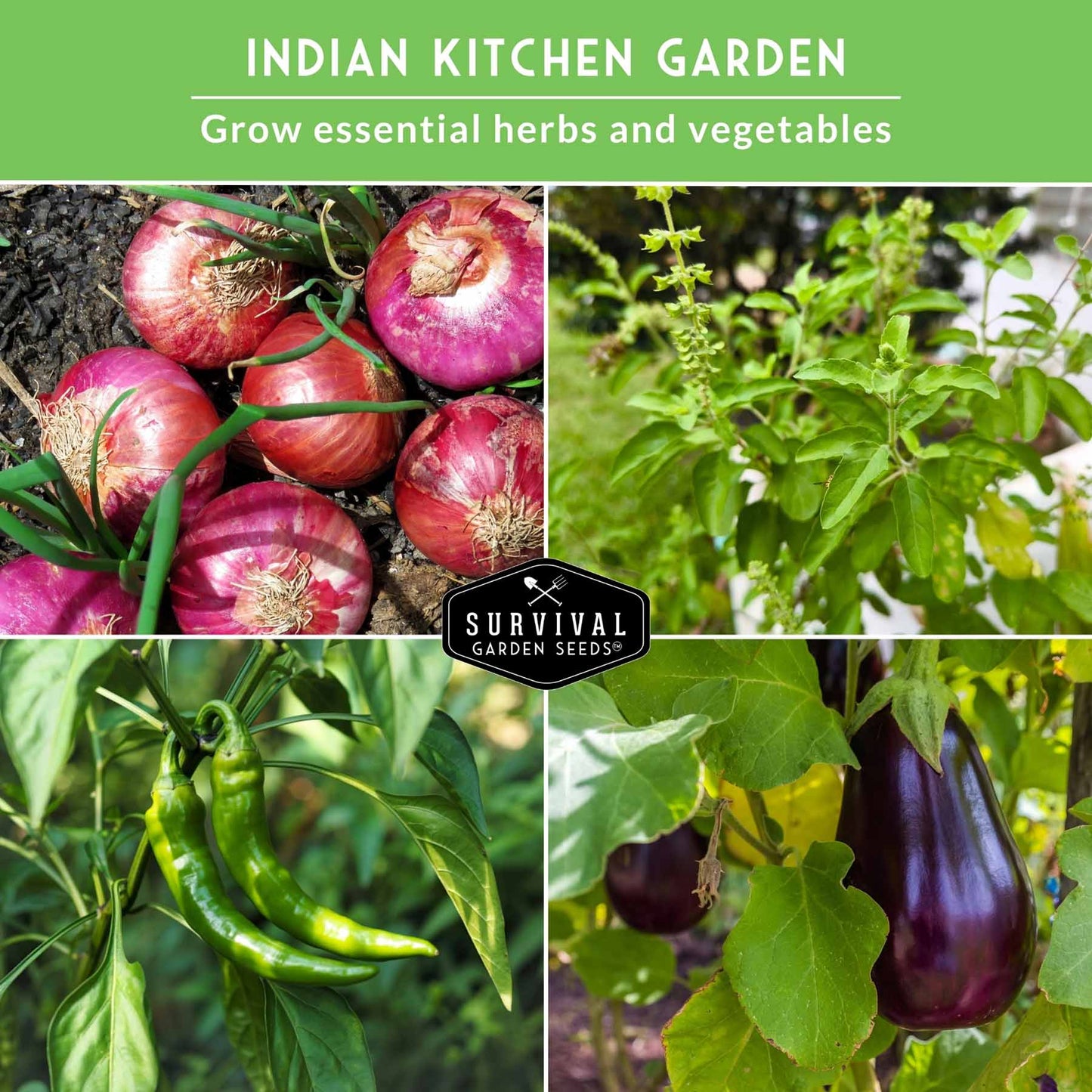 Indian Vegetable Seed Collection – 10 Heirloom Non-GMO Seeds for Authentic Indian Cuisine and Home Gardens