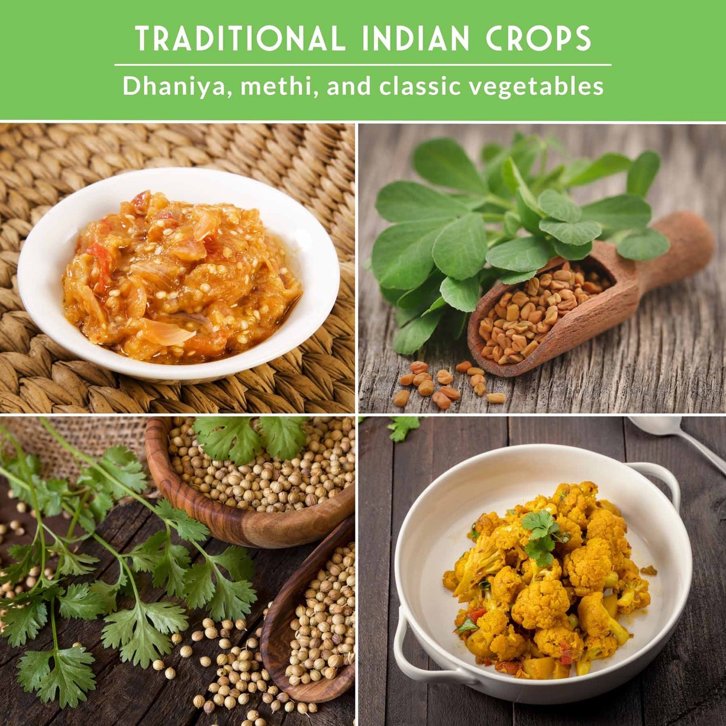 Indian Vegetable Seed Collection – 10 Heirloom Non-GMO Seeds for Authentic Indian Cuisine and Home Gardens