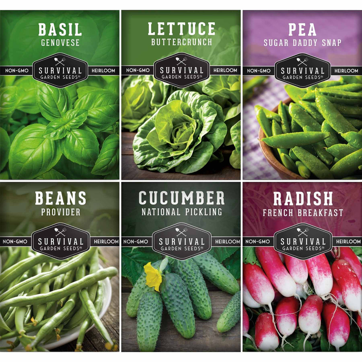 Kid’s Easy Garden Seed Collection – 6 Fast-Growing Vegetables & Herbs for Beginner Gardeners